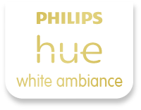 Opbouwspot Rome - met gu10 Philips Hue white & ambiance - zwart