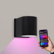 230_volt_led_wandlamp_dimbaar_artist_impression_wl-r-2-zw-huewc