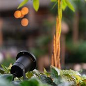 Tuin Prikspot – Philips GU10 – kantelbaar zwart Hue white & color IP65