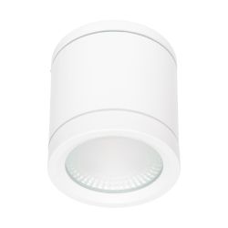 230_volt_led_opbouwspot_dimbaar_lm-301-w-fg_01