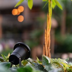 Tuin Prikspot – Philips GU10 – kantelbaar – zwart – IP65